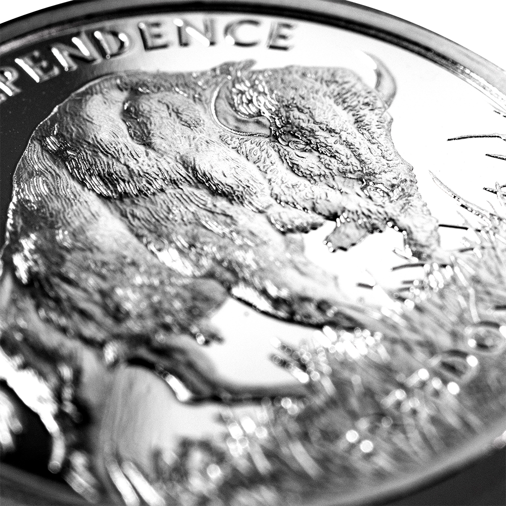 1 oz Silver American Buffalo.